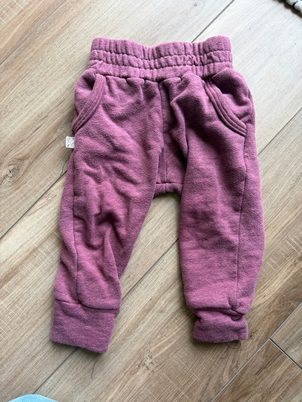 Childhoods Jogger Pants in Plum